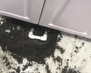 陆川查漏水哪家好
